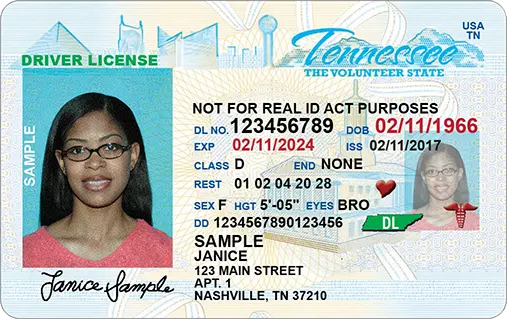 Standard driver license